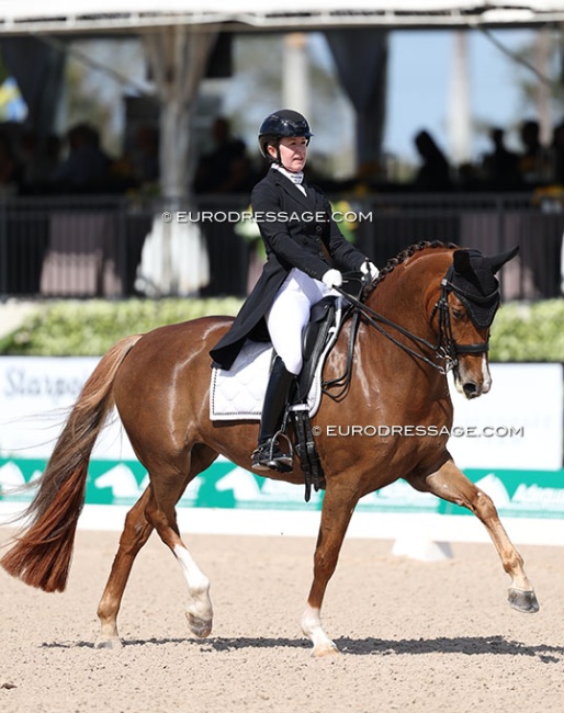 Belinda Trussell and Quincy in the Developing PSG Horse class at the 2025 CDI-W Wellington :: Photo © Astrid Appels