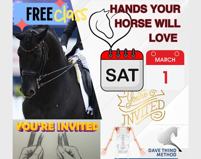 Online Class to Create “Hands Your Horse Will Love" - brought to you by Dave Thind Method