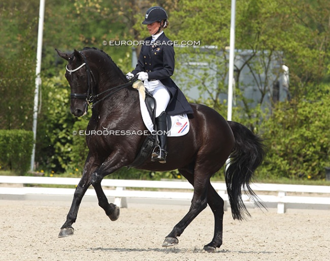 Michelle de Jonge and Pays Bas NL at the 2013 CDI  Roosendaal :: Photo © Astrid Appels