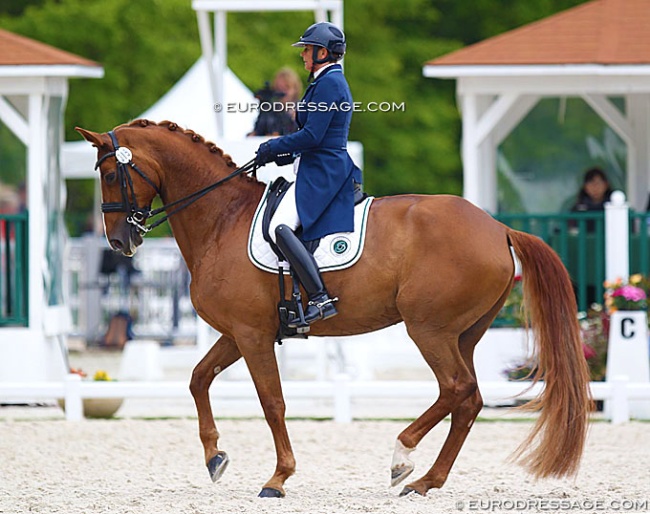 Nicole Favereau and Ginsengue at the 2019 CDIO Compiegne :: Photo © Astrid Appels