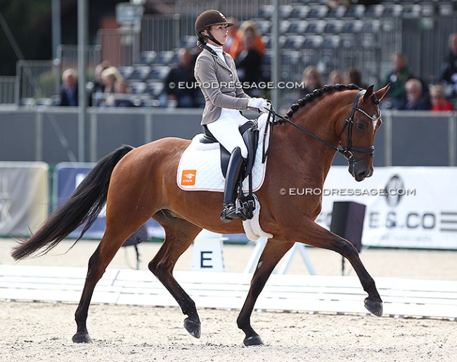 Dutch Dinja van Liere on the KWPN bred Leonidas at the 2021 WCYH in Verden :: Photo © Astrid Appels
