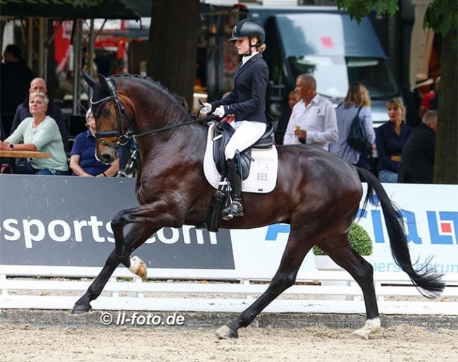 Kim Brüning and Dave at the 2024 Bundeschampionate :: Photo © LL-foto