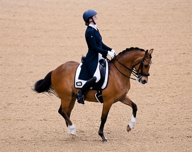 Alison Gill and Hilkens Denali at the 2024 Australian Grand Prix Championships