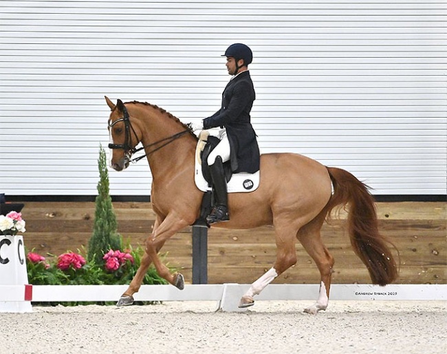 Benjamin Albright and Dominy at the 2025 CDI Ocala :: Photo © Andrew Ryback