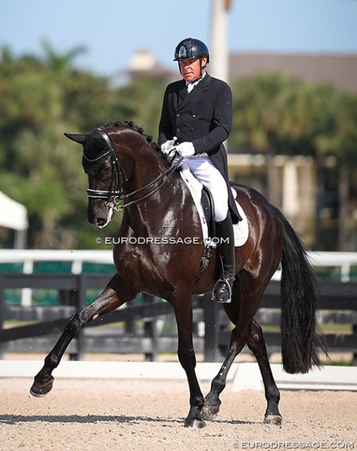 Michael Klimke on Dante's Peak at the 2025 CDN Wellington in March :: Photo © Astrid Appels