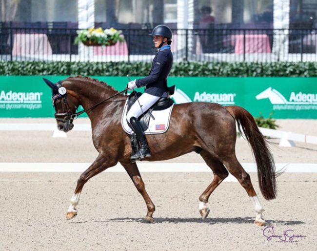 Fiona Howard and Diamond Dunes at the 2025 CPEDI Wellington :: Photo © Sue Stickle
