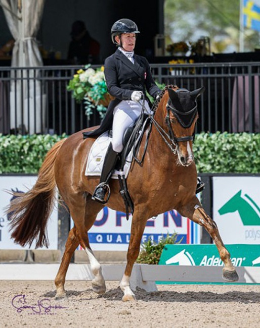 Belinda Trussell and Quincy in the Developing PSG Horse class at the 2025 CDI Wellington :: Photo © Sue Stickle
