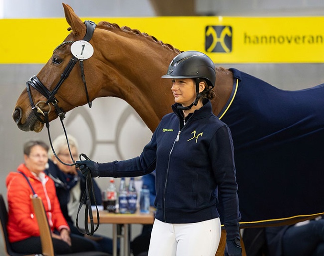 Vision (by Vitalis x Werther) with Stefanie Wolf-Viehoff :: Photo: Hannoveraner Verband