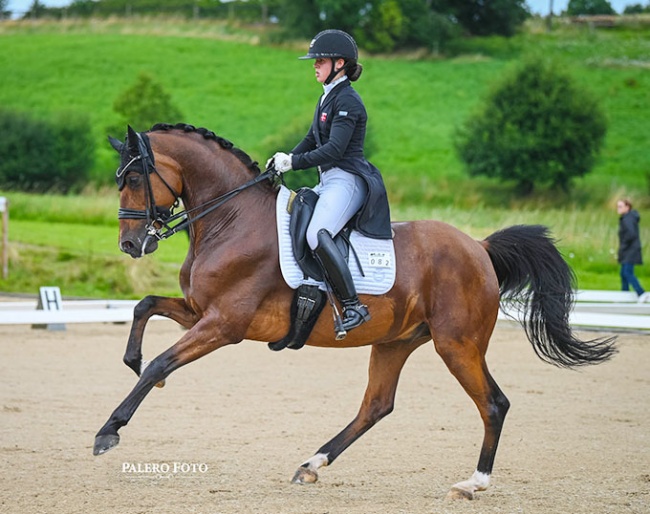 Bergåkras Amaranth : Photo © Palero Foto