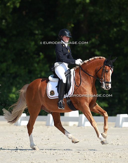 Inne Peytier and Schermeer Hof's Aladin at the 2014 CDI Compiegne :: Photo © Astrid Appels