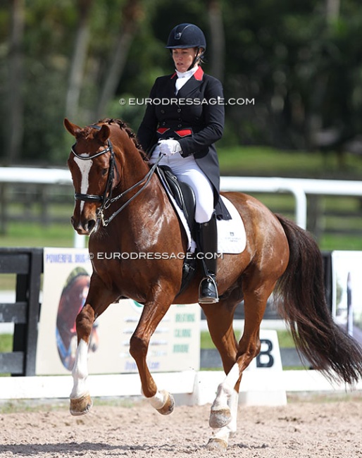 Karen Pavicic and Totem at the 2020 CDN Wellington :: Photo © Astrid Appels