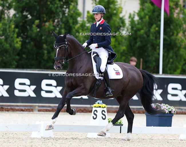 Myles Graham and Nibeley Union Hit at their last international in their career: the 2024 European Junior Riders Championships in Opglabbeek :: Photos © Astrid Appels