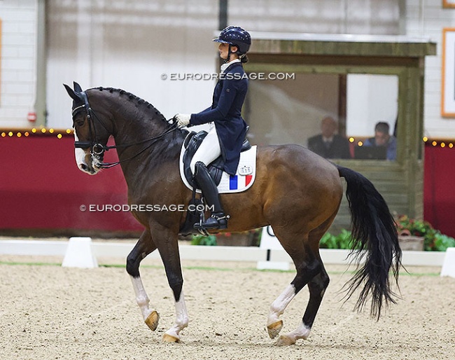 Justine Ludot and San Cloud's Lucky at the 2024 CDI Kronenberg Indoor :: Photo © Astrid Appels