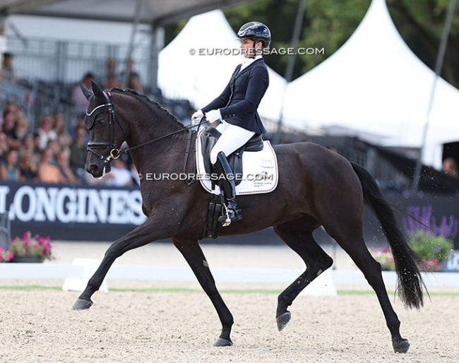 Lydia Jordan and Shakeela at the 2024 World Young Horse Championships :: Photo © Astrid Appels