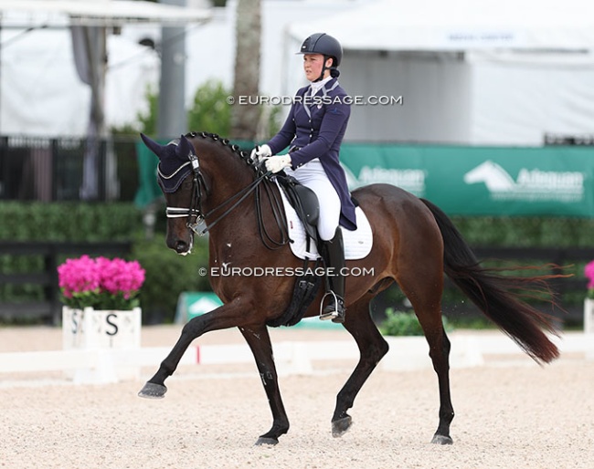 Allison Nemeth on Leviathan at the 2024 CDI Wellington :: Photo © Astrid Appels