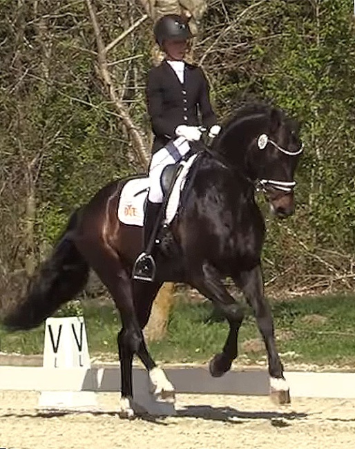 Greta Heemsoth and Endorphin at the 2025 CDN Elmlohe 