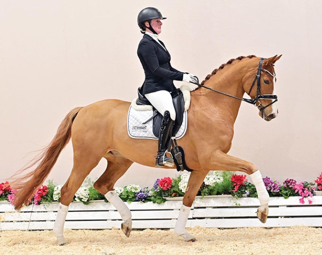 Be Gold vor dem Moore (by Bon Vivaldi x Sungold)