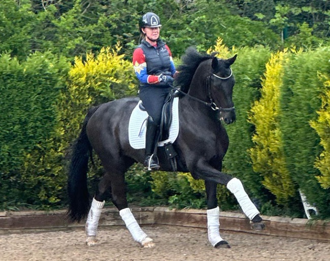 Salazar VIP (by San Amour x Quantensprung)