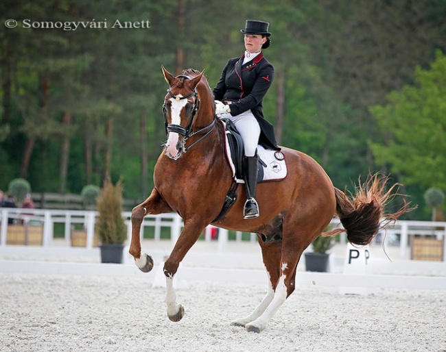 Dutch team rider Thamar Zweistra competing at the CDI-W Pilisjaszfalu :: Photo © Anett Somogyvari