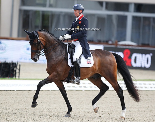 Sintano van Hof Olympia at the 2021 European Championships in Hagen :: Photo © Astrid Appels