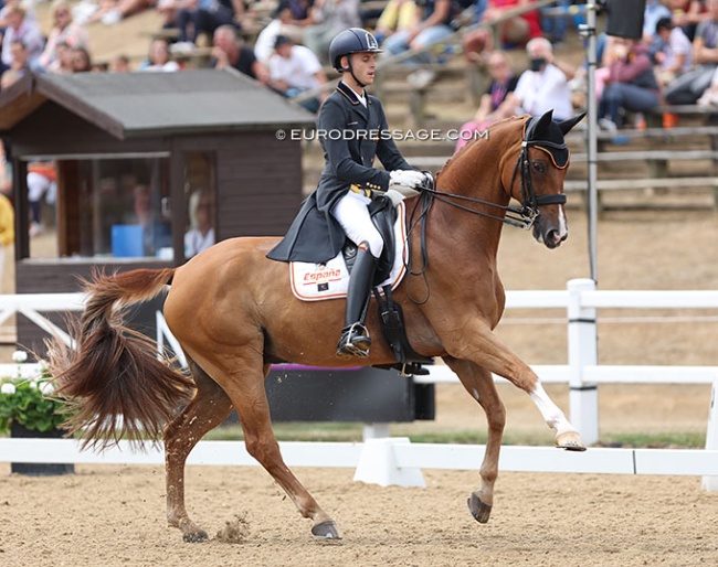 Sergio Moron Basoco and Farnham L at the 2022 European Young Riders Championships :: Photo © Astrid Appels