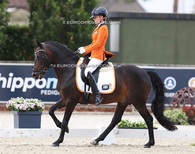 Sanne Glissenaar and Filippo at the 2024 European Pony Championships :: Photo © Astrid Appels