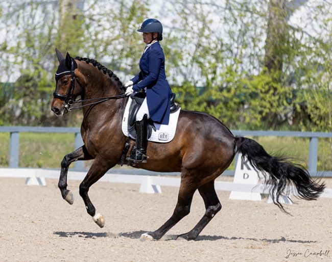 Brittney Simpson on Goldfinch at the 2025 CDI Calgary :: Photo © Jesse Campbell