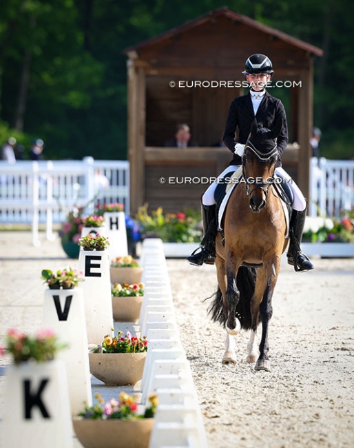 Early morning competition in three arenas on day one of the 2025 CDIO Compiegne :: Photo © Astrid Appels