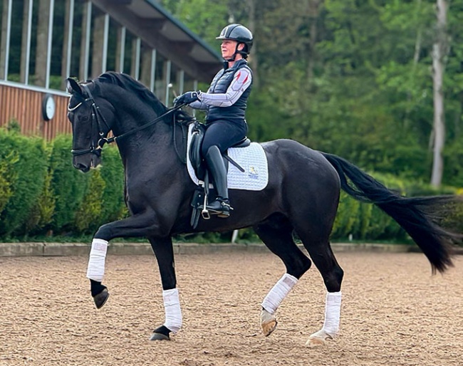 Salazar VIP (by San Amour x Quantensprung)