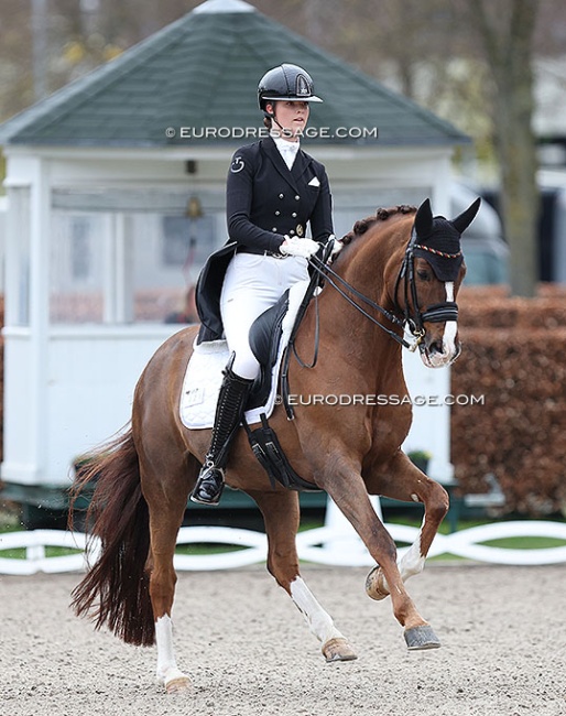 Celestine Kindler on Quotenkönig at the 2024 Aachen Festival 4 Dressage :: Photo © Astrid Appels