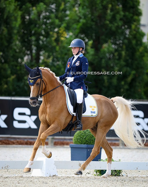 Josefine Lindstedt and Falco at the 2024 European Pony Championships :: Photo © Astrid Appels
