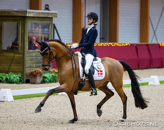 Filippa Jaeger and Top Vincento at the 2024 CDI Kronenberg indoor :: Photo © Digishots