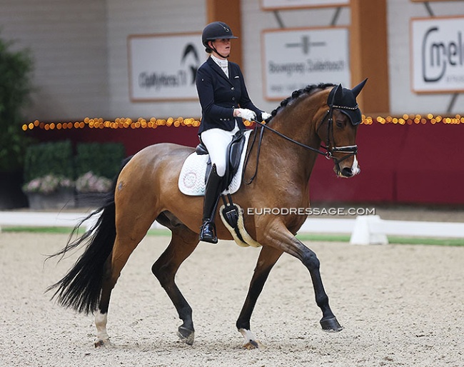 Jorinde Verwimp and No Surrender at 2024 CDI Kronenberg Indoor :: Photo © Astrid Appels