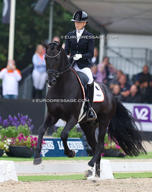 Kirsten Brouwer on Ohio at the 2024 World Young Horse Championships :: Photo © Astrid Appels
