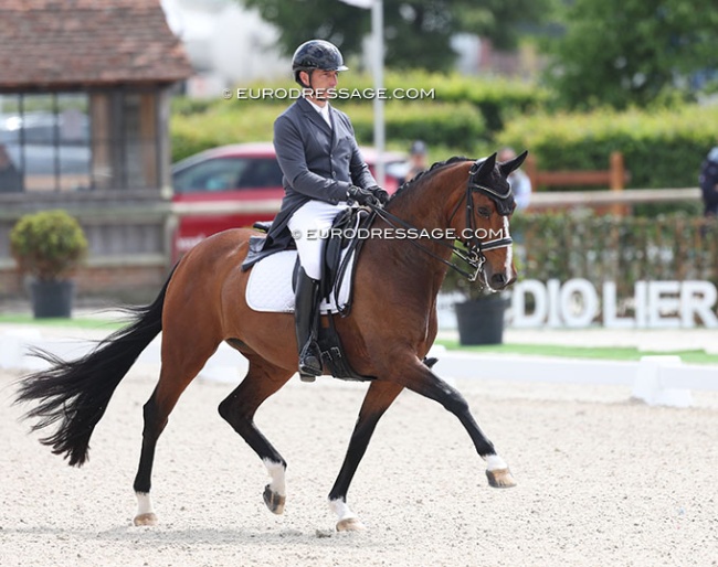 Betrand Liegard and Ginger at the 2025 CDIO Lier :: Photo © Astrid Appels