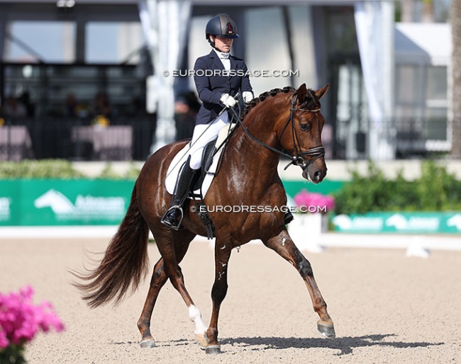 Hope Cooper and O Romeo S at the 2025 CDI Wellington :: Photo © Astrid Appels