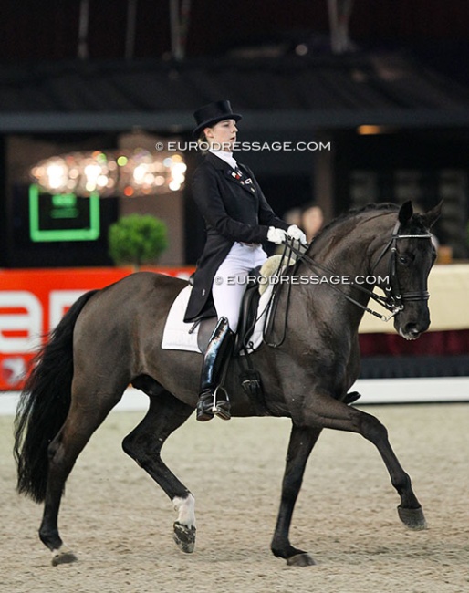 Camille Judet Cheret and Ronaldo at the 2011 Zwolle International Stallion Show :: Photo © Astrid Appels
