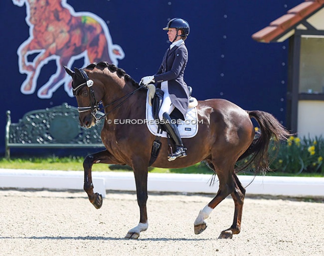 Laurence Vanommeslaghe on Edison at the 2022 CDI Hagen :: Photo © Astrid Appels
