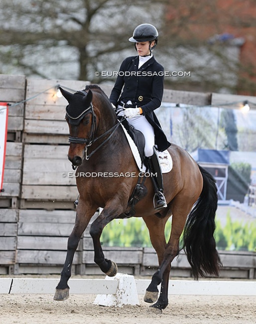 Carina Scholz and Quinto at the 2024 CDI Sint-Truiden :: Photo © Astrid Appels