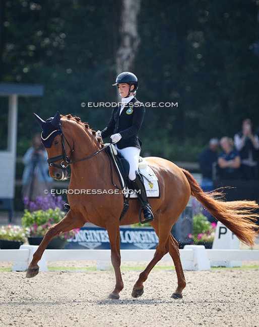 Lovisa Wessbladk on Simmebros De Luze at the 2024 World Young Horse Championships :: Photo © Astrid Appels
