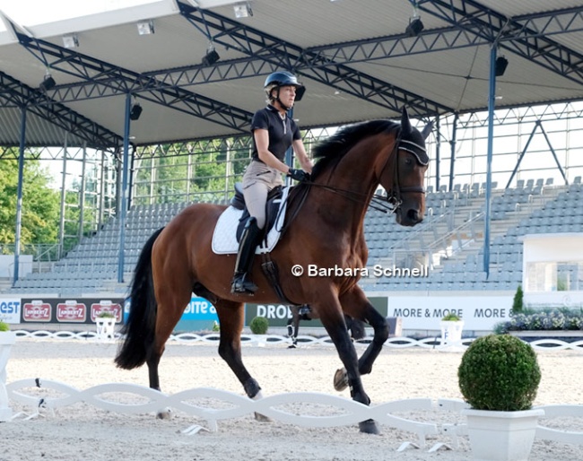 Ingrid Klimke schooling Vayron in the Aachen dressage stadium on vet check day :: Photo © Barbara Schnell