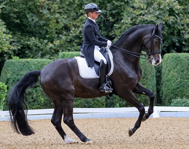 Victoria Max-Theurer and Abegglen at the 2025 CDI Achleiten :: Photo © CDI Achleiten