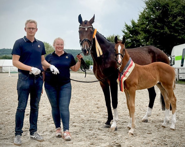 Filly champion Ewald's Elfe (OLD by Ibiza x De Niro) - Owner: ZG Klumpe, Hermann - Breeder: Grotelüschen, Ewald