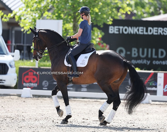 Laura Tomlinson schooling her home bred Full Moon II at the 2025 CDIO Lier :: Photo © Astrid Appels