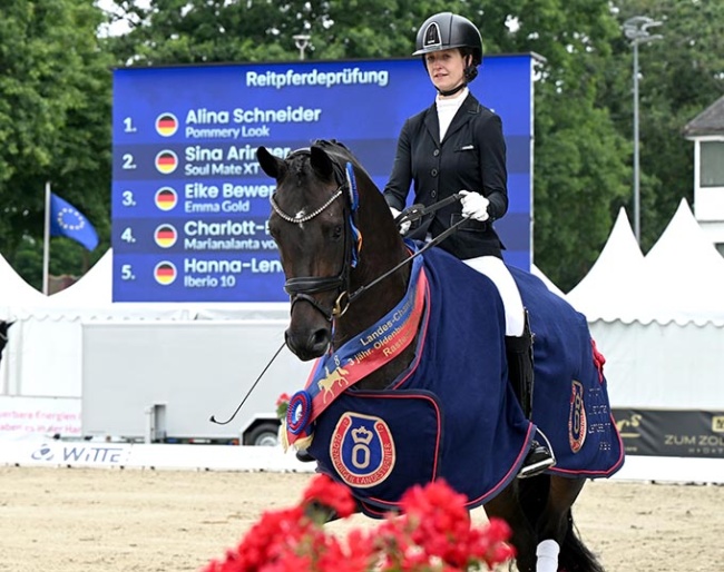 Alina Schneider on Pommery Look at the 2025 Oldenburg Young Horse Championships in Rastede :: Photo © Kiki Beelitz for GOV