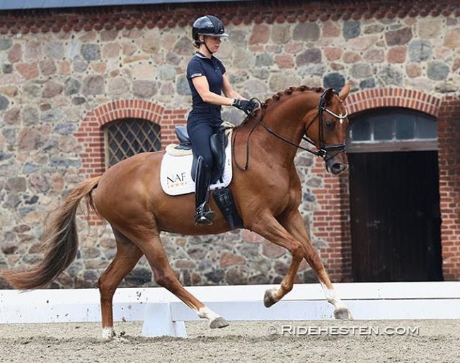 Selina Solberg Vittinghus on Atterupgaards Daimi :: Photo © Ridehesten