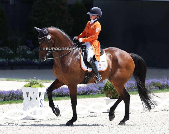 Rowena Weggelaar on Don Quichot at the 2025 CDIO Aachen :: Photo (c) Astrid Appels