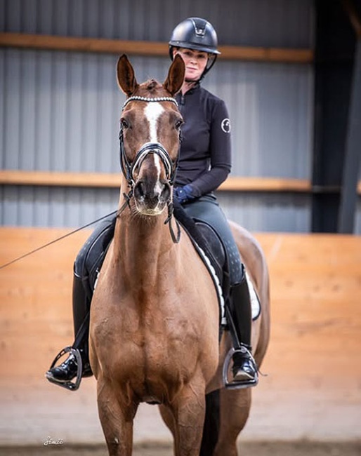 Izan de L'Or Høivang (by De L'Or x Fidermark)