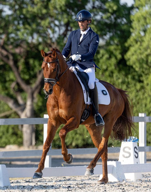 Bernat Barrachina and Elvis competing in the young horse masters at the 2025 Spanish Dressage Championships at Las Cadenas :: Photo © Lily Forado