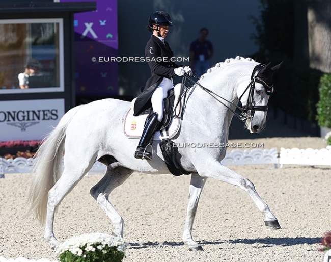 Aniko Komjathy-Losonczy will be riding her third, consecutive European Championships on Dior S. Pictured in Riesenbeck in 2023 :: Photo © Astrid Appels